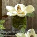 Creative Displays, Inc. Faux Cream Magnolia in Vase BREA2285